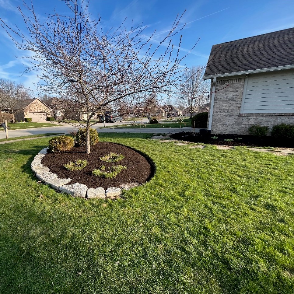 A suburban lawn with an oval flower bed edged with flat stones. A tree is centered in the bed surrounded by greenery.